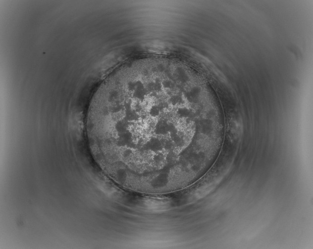 X0000111830707200907231317