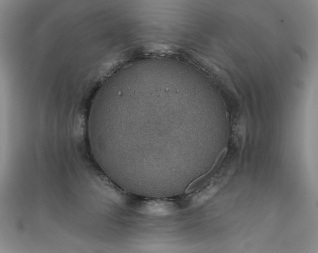 X0000111830708200907231317