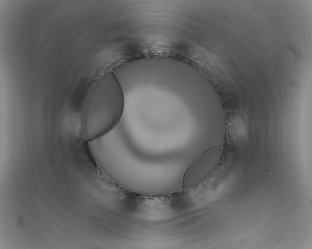X0000111830709200907231317