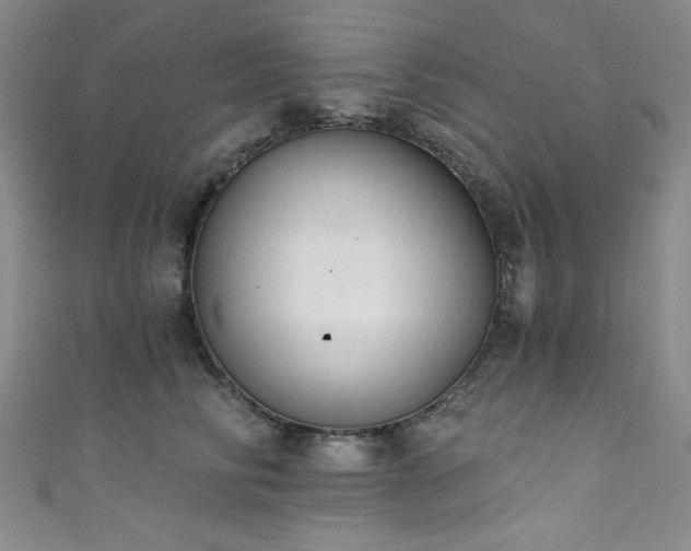 X0000111830710200907231317