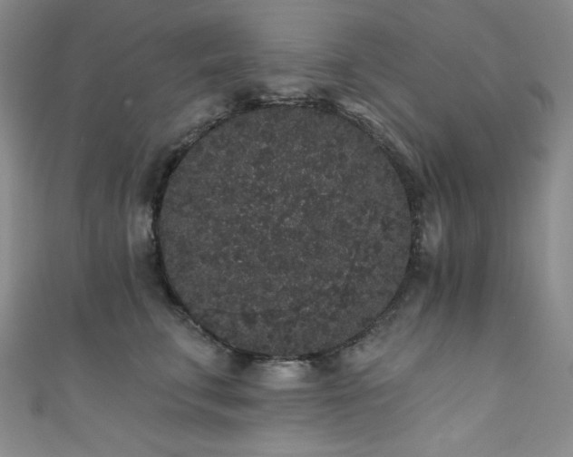 X0000111830711200907231317