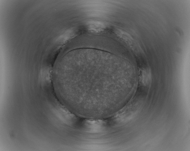 X0000111830712200907231317