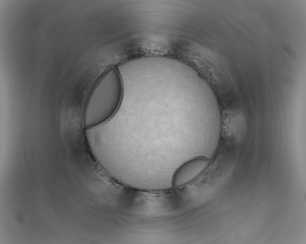 X0000111830713200907231317