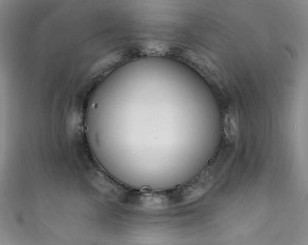 X0000111830714200907231317