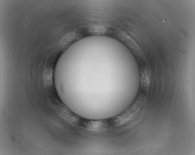 X0000111830717200907231317