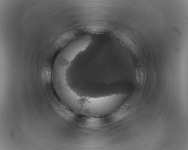 X0000111830718200907231317