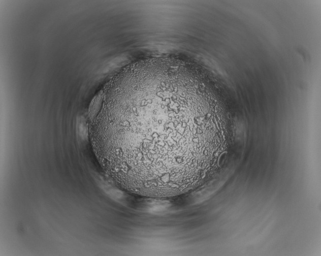 X0000111830719200907231317