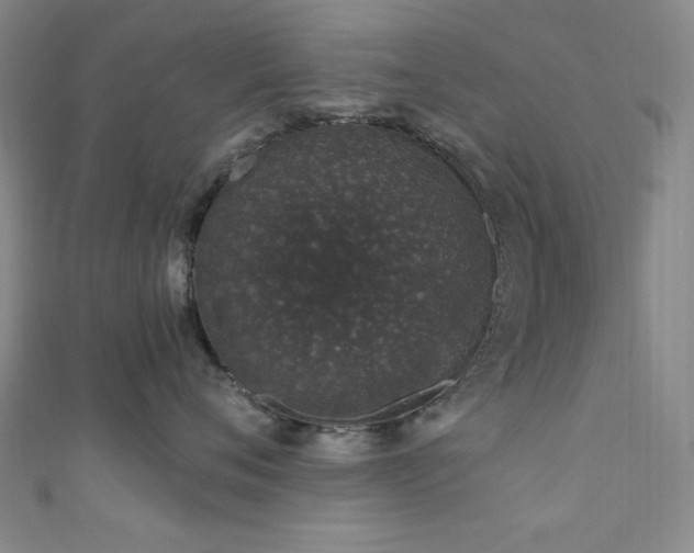 X0000111830720200907231317