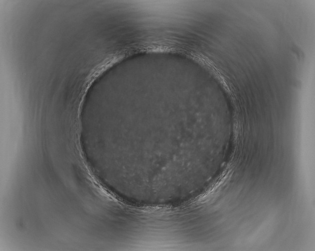 X0000111830721200907231316