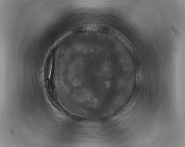 X0000111830722200907231316