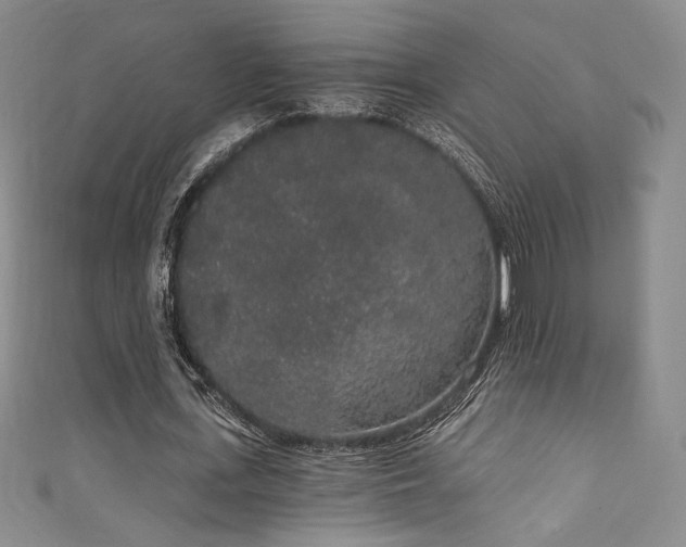 X0000111830723200907231316