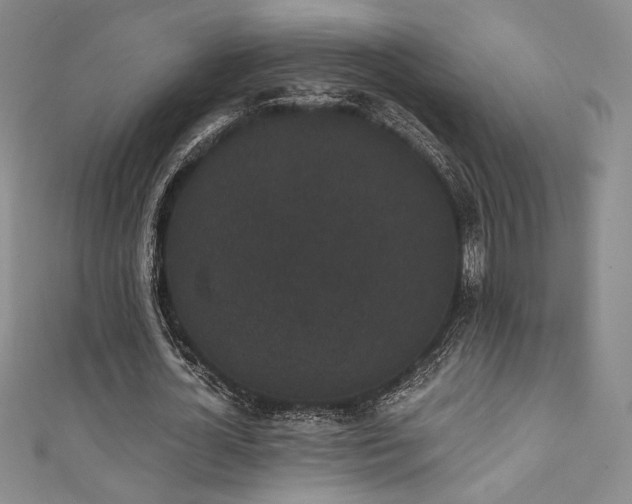 X0000111830724200907231316