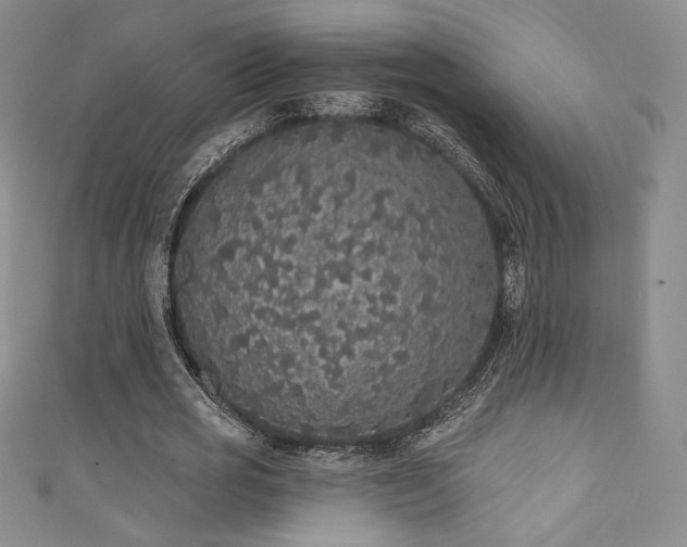 X0000111830725200907231316