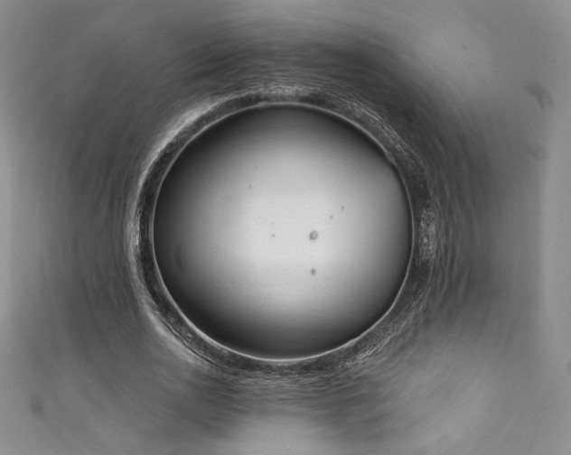 X0000111830726200907231316