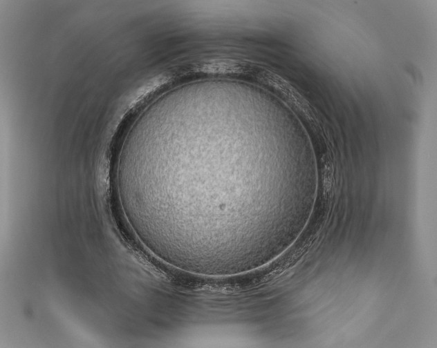 X0000111830727200907231316