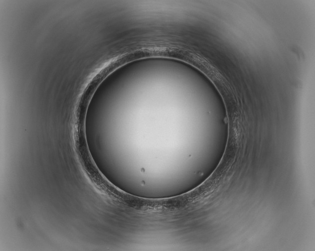 X0000111830728200907231316