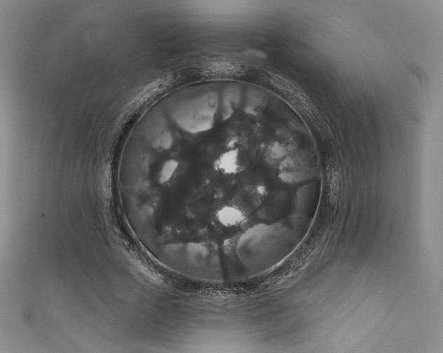 X0000111830729200907231316