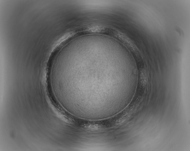 X0000111830730200907231316