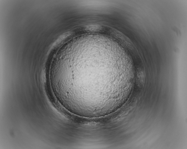 X0000111830734200907231316