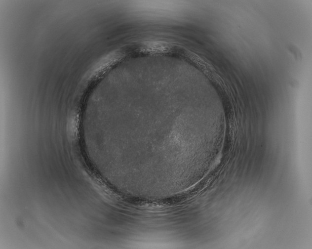 X0000111830735200907231316