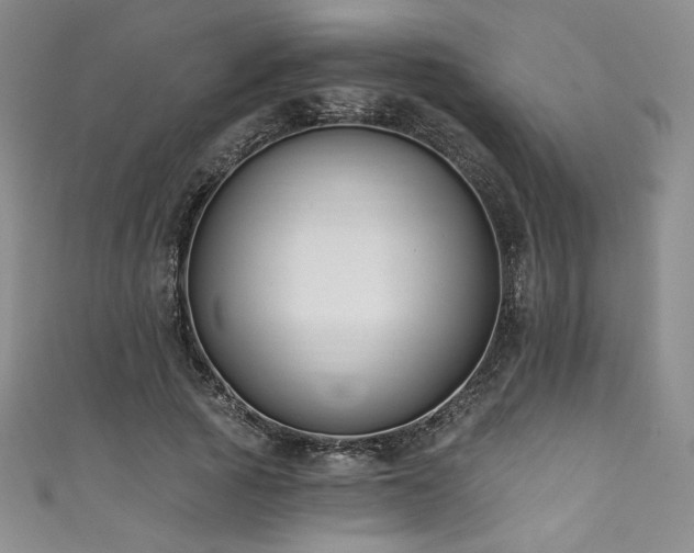 X0000111830737200907231316
