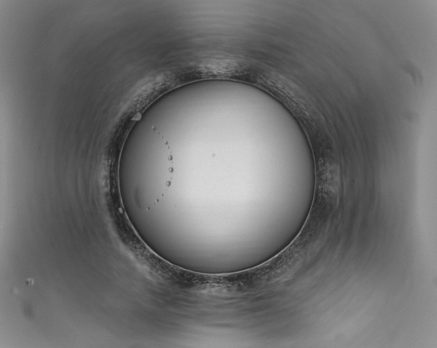 X0000111830738200907231316