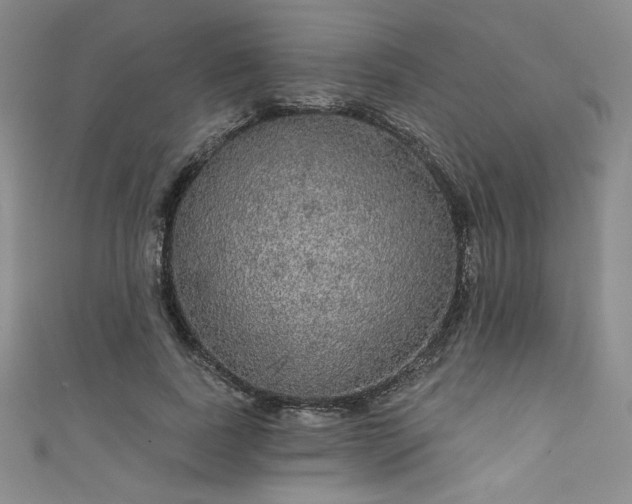 X0000111830739200907231316