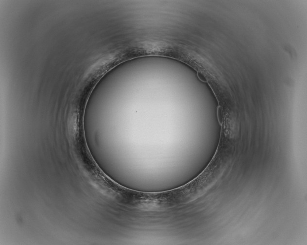 X0000111830740200907231316