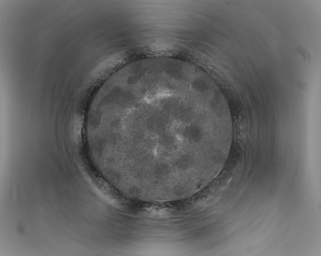 X0000111830742200907231316