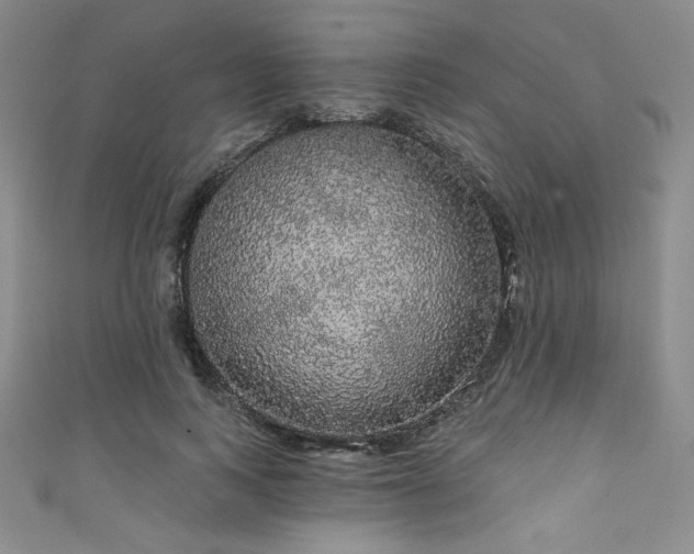 X0000111830743200907231316