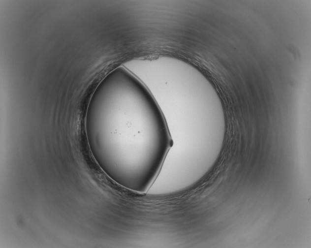 X0000111830744200907231316