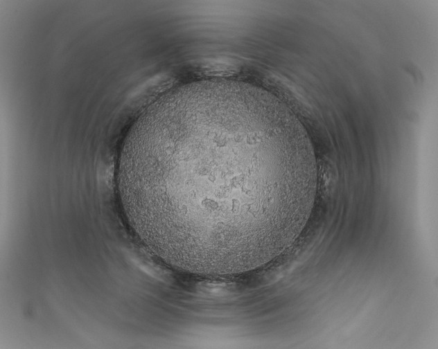 X0000111830745200907231316