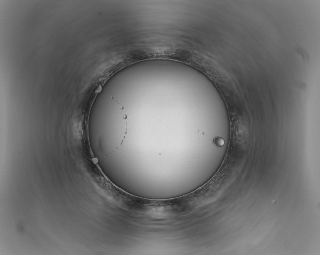 X0000111830746200907231316