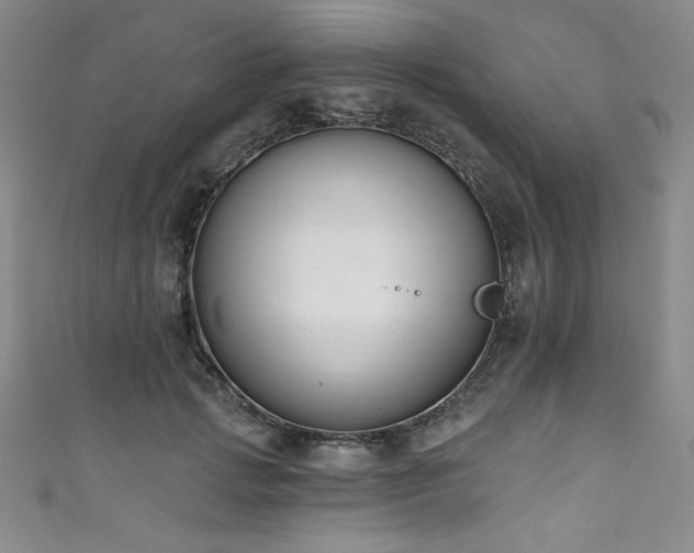 X0000111830749200907231316
