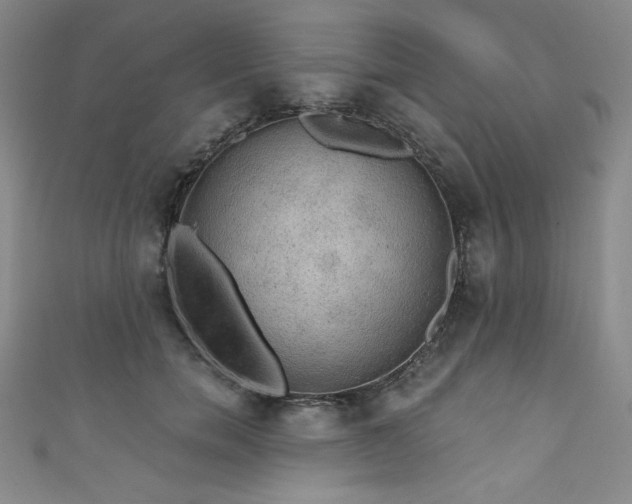 X0000111830750200907231316