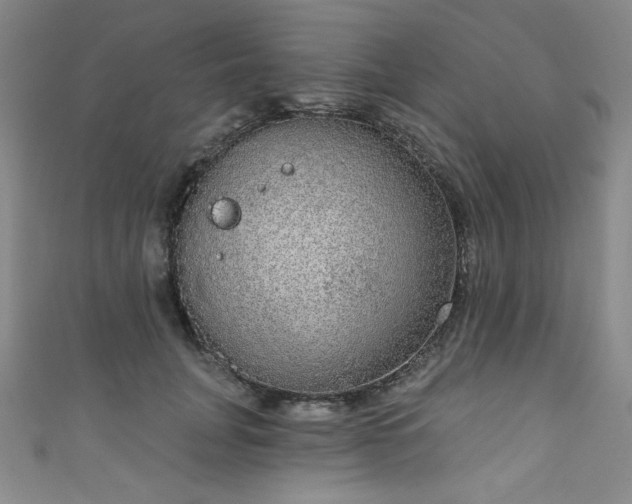X0000111830751200907231316