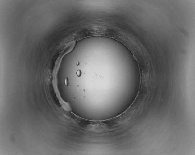 X0000111830752200907231316