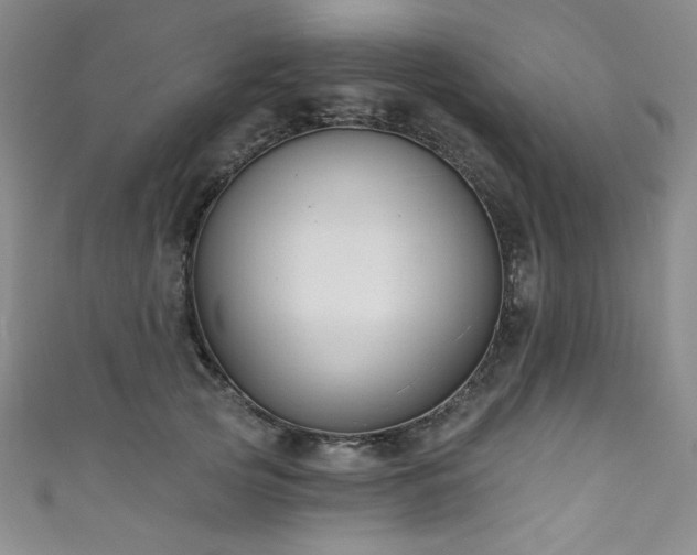 X0000111830753200907231316