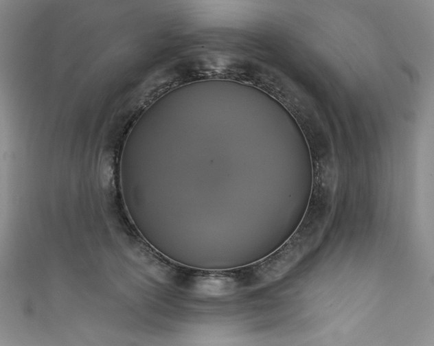 X0000111830754200907231316