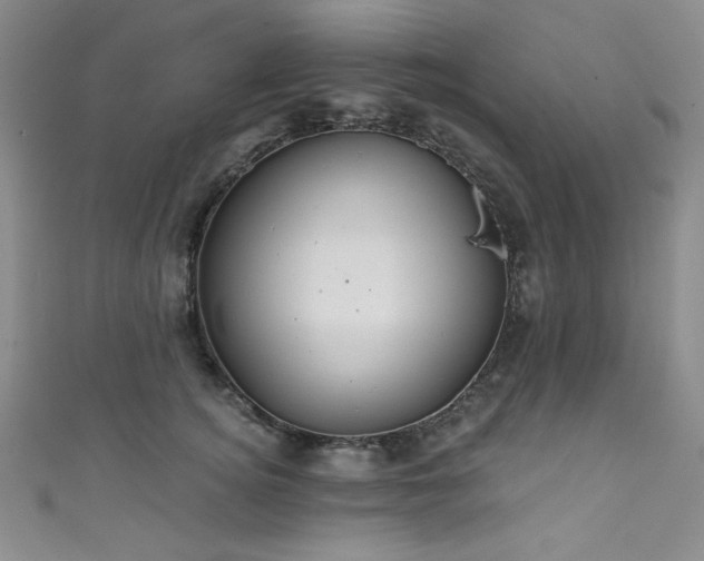 X0000111830756200907231316