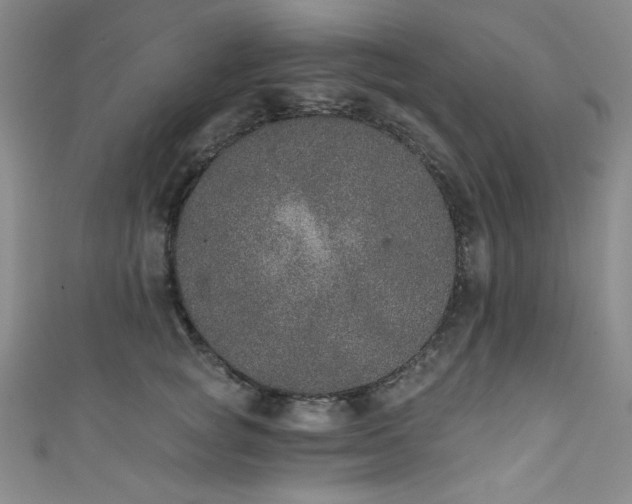 X0000111830757200907231316