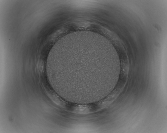 X0000111830758200907231316
