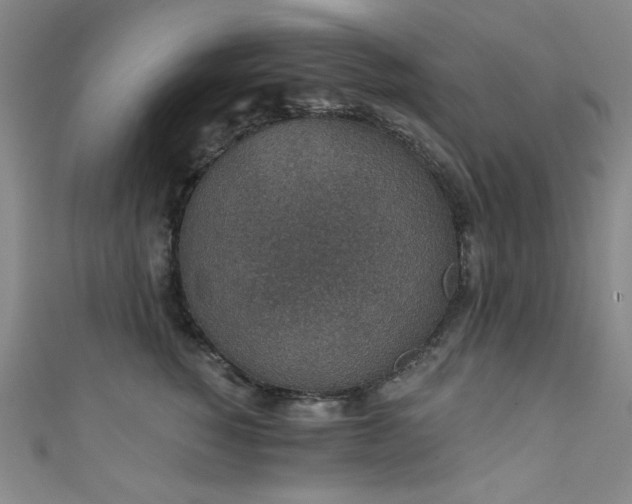 X0000111830760200907231317