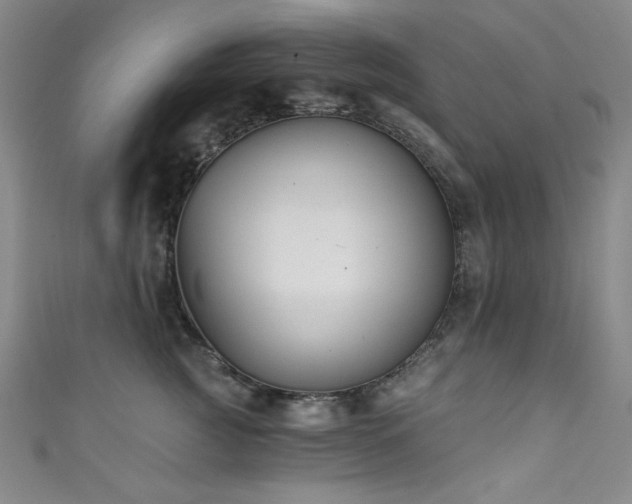 X0000111830761200907231317