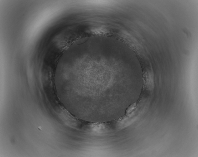 X0000111830762200907231317