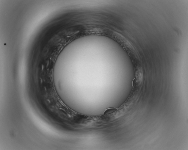 X0000111830764200907231317