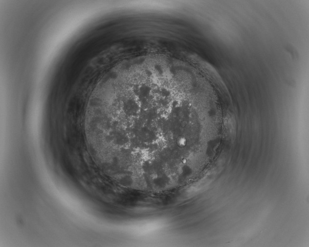 X0000111830765200907231317