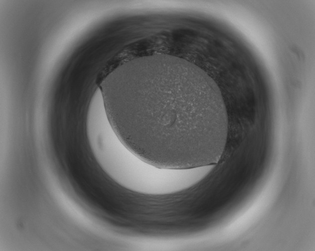 X0000111830766200907231317