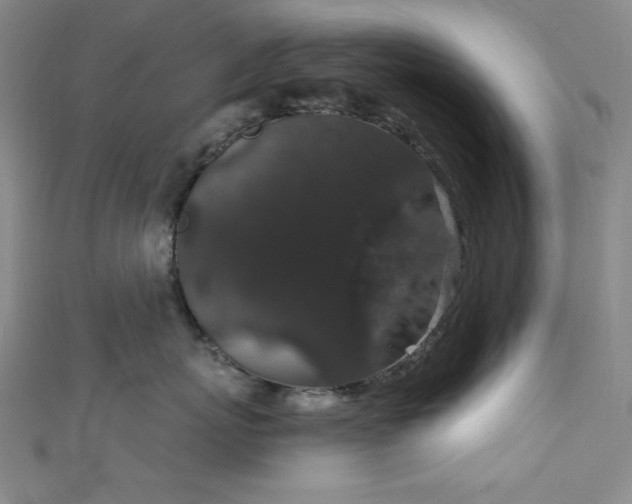 X0000111830767200907231317