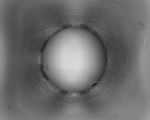 X0000111830768200907231317